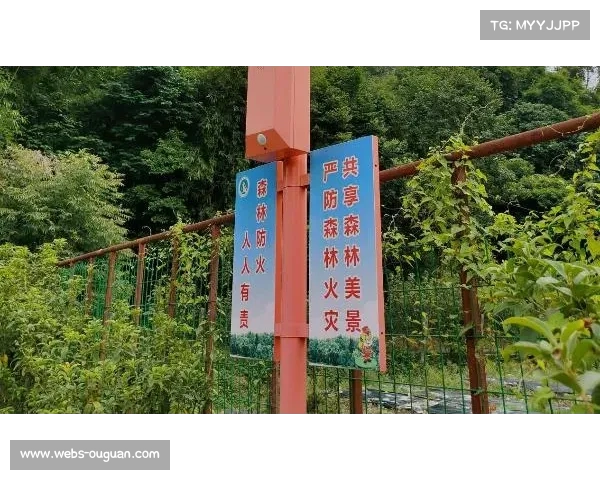 赛事安全预警机制完善，实时监控与应急预案全覆盖